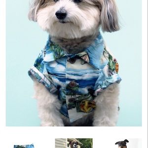 Dog Threads dog Hawaiian shirt